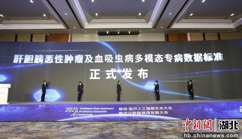 2025智链医疗人工智能生态大会启幕，智能技术驱动医疗健康新未来